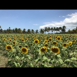 Meet your Posher, Lisette